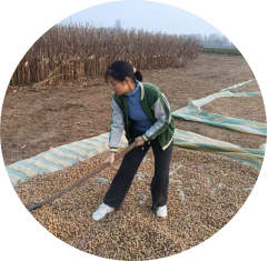 1763947073993945.png cdf5d8652c235029faac3a937796b9b9_640_wx_fmt=png&from=appmsg&tp=webp&wxfrom=5&wx_lazy=1#imgIndex=3.png